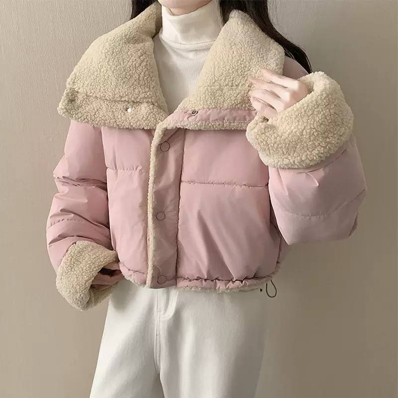 Cropped Teddy Collar Puffer Jacket