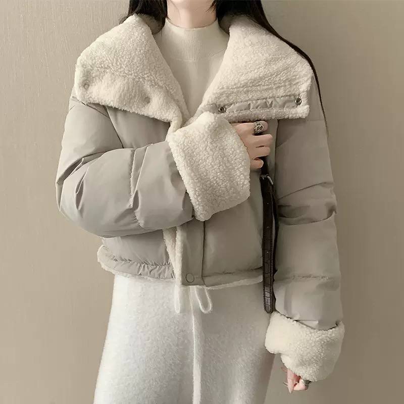 Cropped Teddy Collar Puffer Jacket