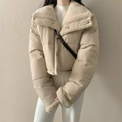 Cropped Teddy Collar Puffer Jacket